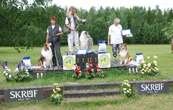 sokpris