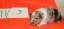 nr3a