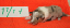 nr4aa