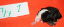 nr1