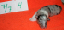 nr4