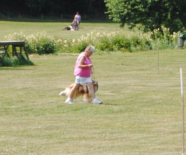 bild1