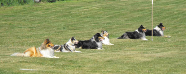 bild12