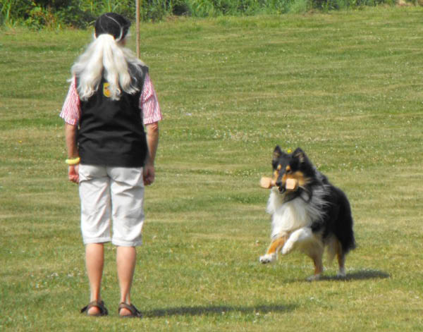 bild14