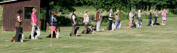 bild28