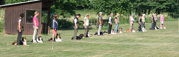bild29