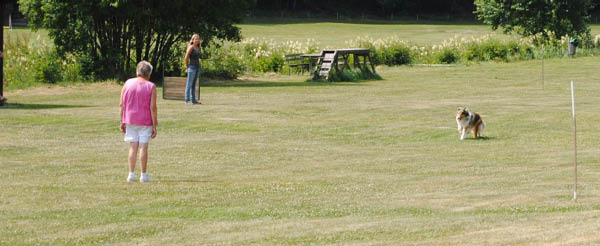 bild3