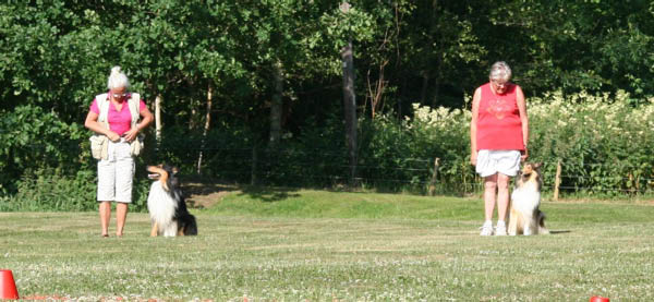 bild36
