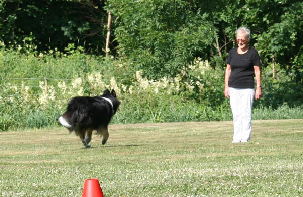 bild42