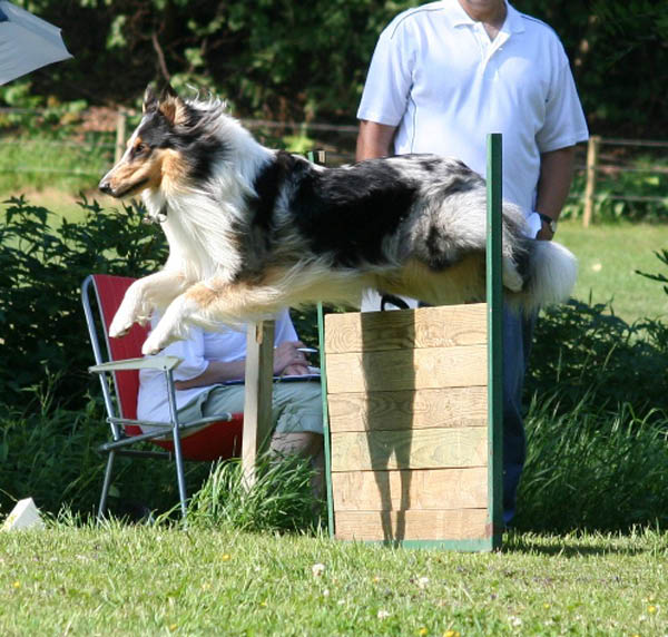bild52