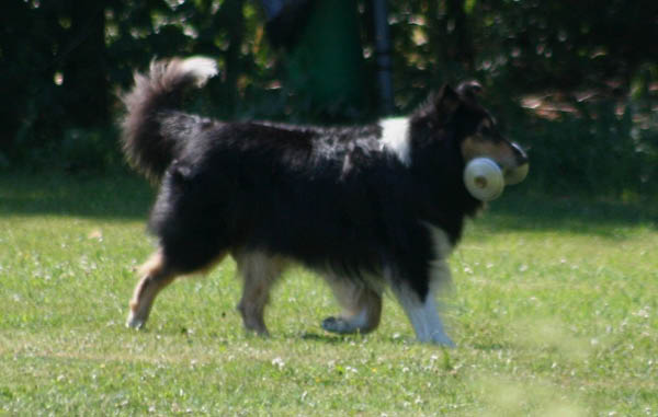 bild60