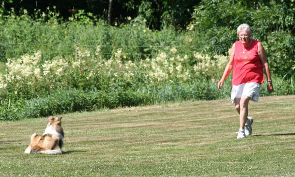 bild62