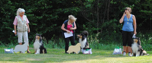 bild8