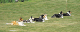 bild12