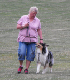 bild15