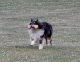 bild18