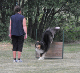 bild19