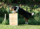 bild44