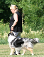 bild46