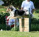 bild52