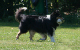 bild60