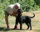 bild61
