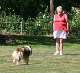 bild63