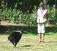 bild67