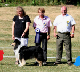 bild81