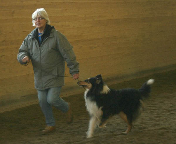 handler10