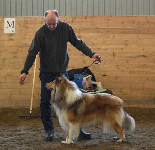 handler11