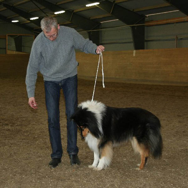 handler13