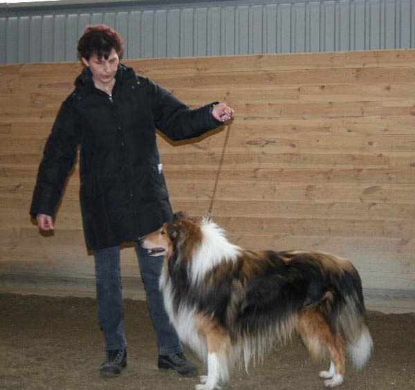 handler14