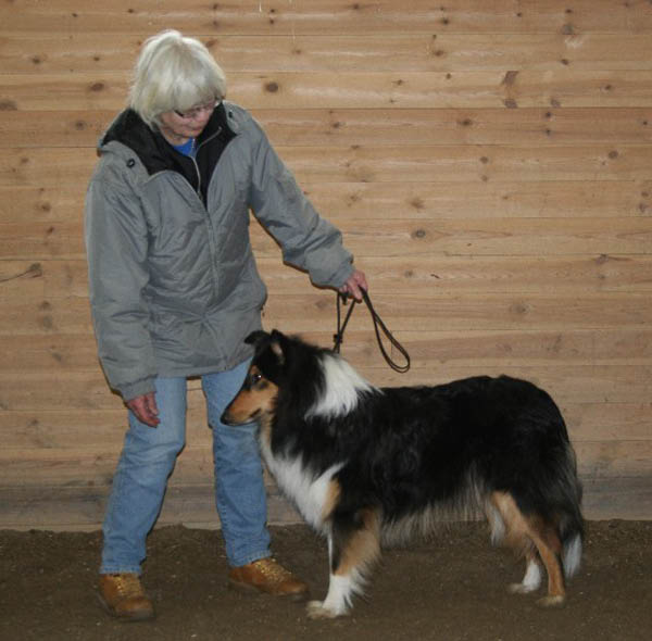 handler15