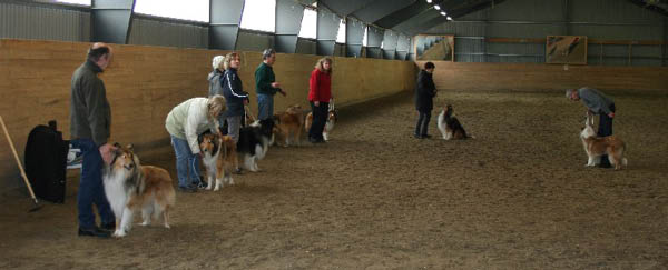 handler16