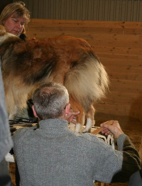 handler18