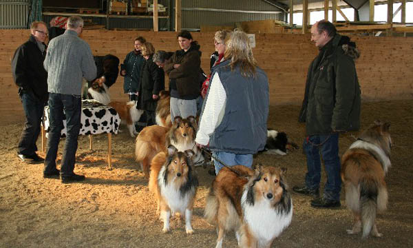 handler19