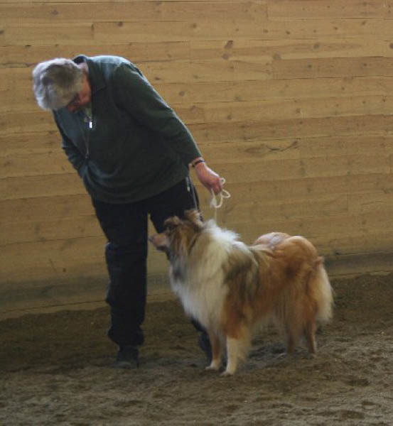 handler3