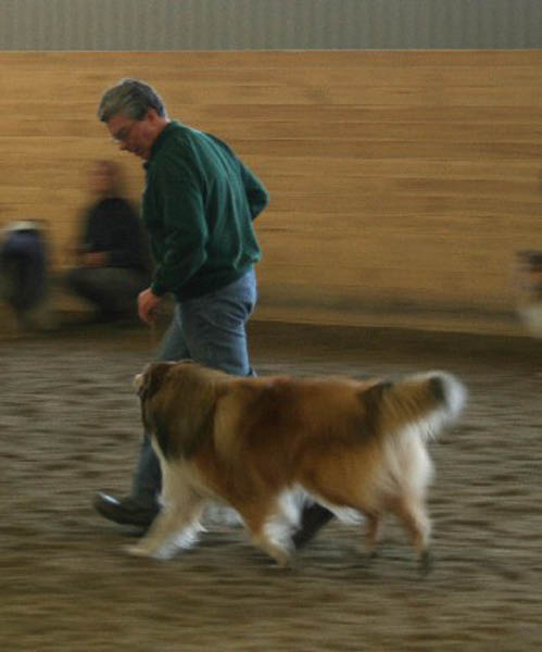 handler6