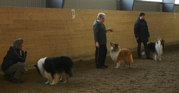 handler7
