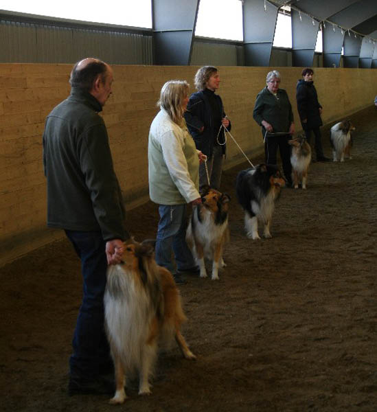 handler8