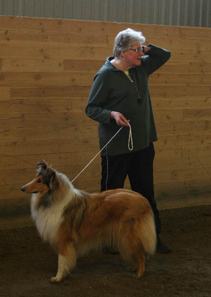 handler9