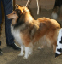 handler20