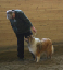 handler3