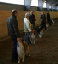 handler8