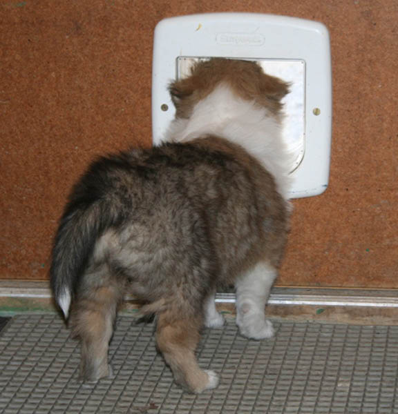 bild4