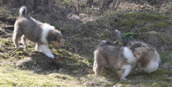 bild5