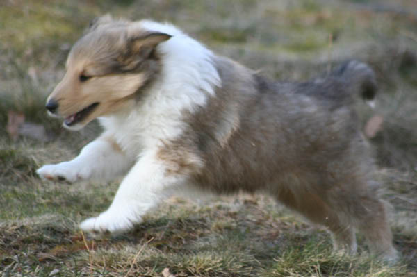 bild8