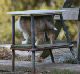 bild10