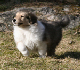bild12